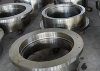 ISO9001 Die Forging Ss304 Ss316 Ss410 High Pressure Stainless Steel Tubesheet